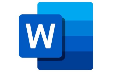 MS Word